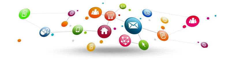 Darwin Interactive, marketing internet